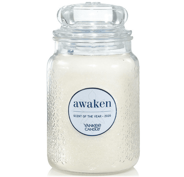Velká svíčka YANKEE CANDLE Awaken 623 g