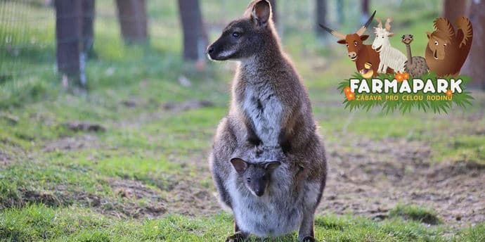 Vstup do Farmaparku