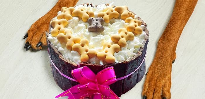400g psí dort podle výběru 