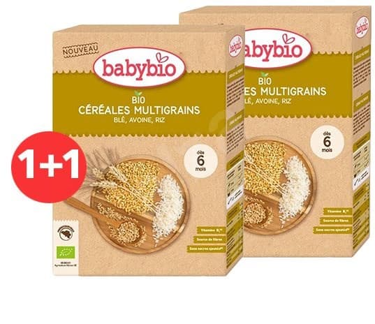 Dětská BIO kaše nemléčná 2× 200 g