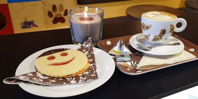 Káva nebo nápoj dle výběru