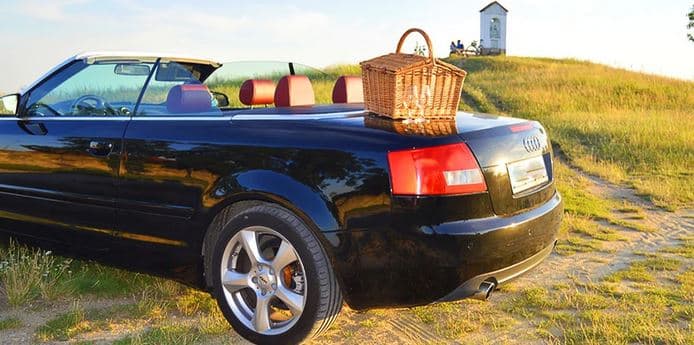 Projížďka  Audi A4 mezi vinicemi a piknik