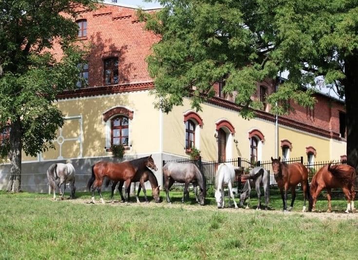 Pobyt na statku u Rothschildů pro dva