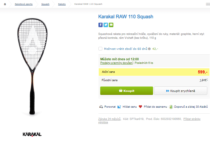 Squashová raketa Karakal RAW 110