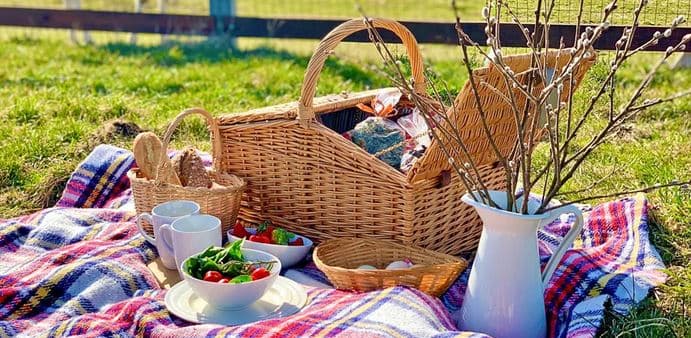 Piknik v jedlém parku Pastvina