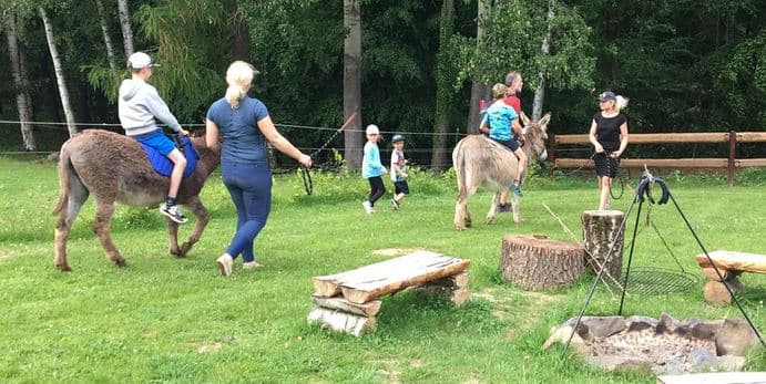 Oslí cesta rájem – 1 oslík, 60 min
