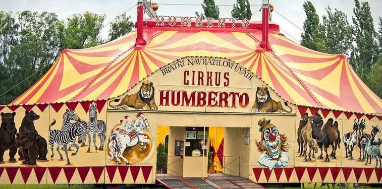 Cirkus Humberto vstup