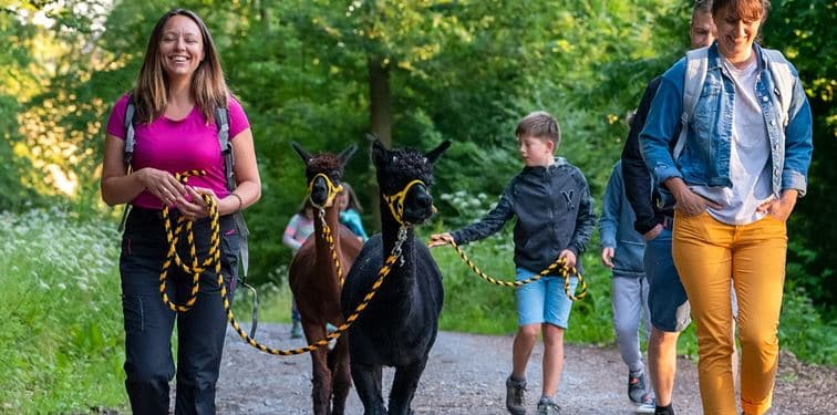 Hodinová vycházka po Moravském krasu se 2 alpakami