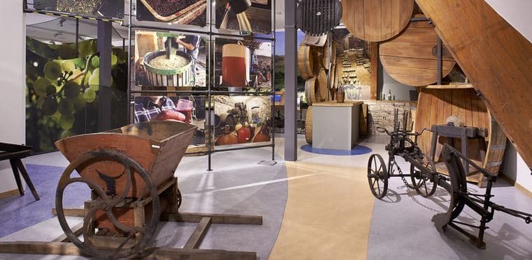 Vstupy do expozice českého vinařství