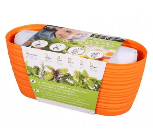 Pěstební Zahrádka Sahara-Pažitka 27cm