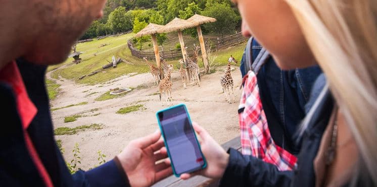 Za lachtany přes celý svět v Zoo Lešná