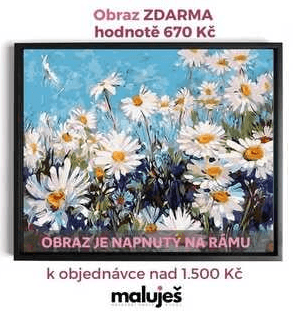 Obraz Kopretiny na rámu jako dárek