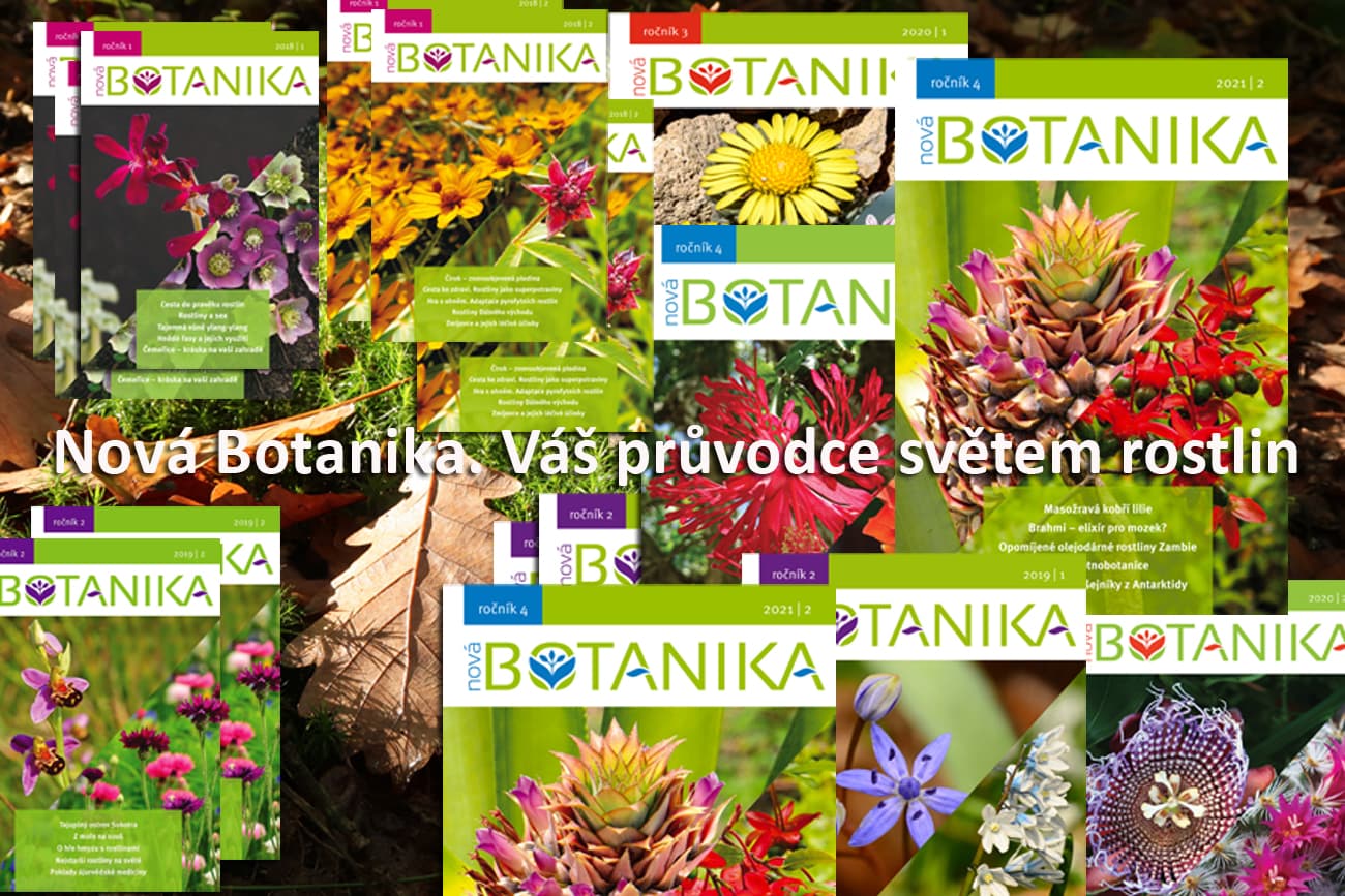 Úžasný svět rostlin
