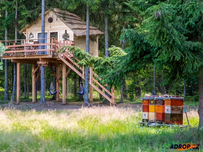Ubytování v treehousu Ralsko s bohatou snídaní