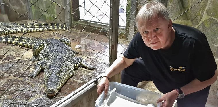 Den ošetřovatelem krokodýlů a gaviálů 