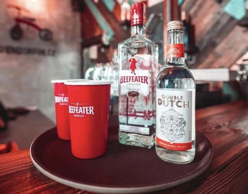 Řízená degustace ginu a párování Gin a Tonic