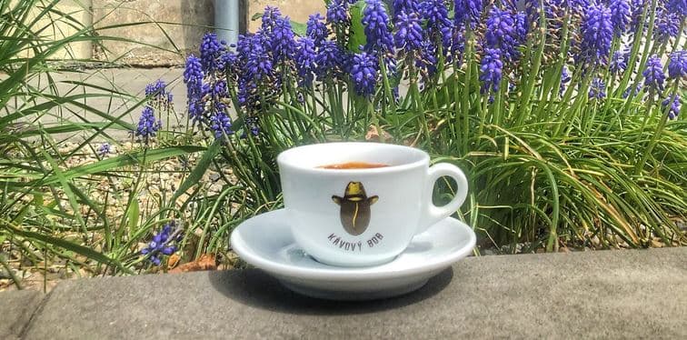 Espresso z čerstvě pražené kávy: pro jednoho