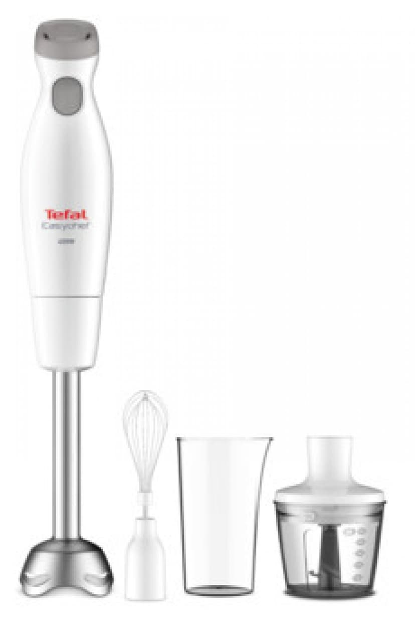 Tyčový mixér Tefal Easychef 3v1