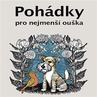 Audiokniha České pohádky 2.06 hod.