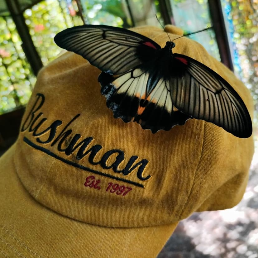 Bushman - extra -30% na výprodej