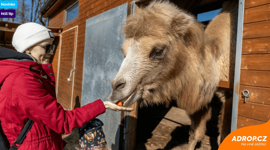 VIP vstup do Zoo Tábor s ošetřovatelem až pro 4 