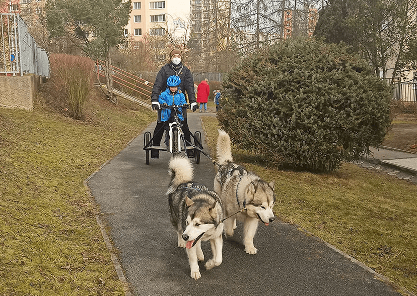 Dětský mushing
