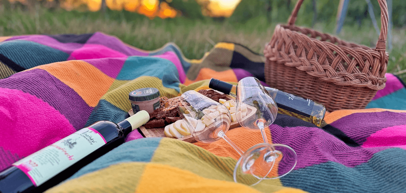 Degustace vín a romantický piknik ve vinici na jižní Moravě pro 2 osoby 