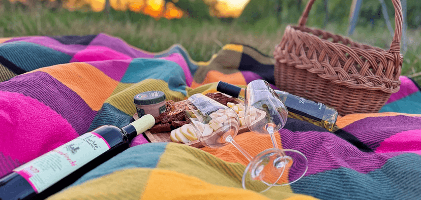 Degustace vín a romantický piknik ve vinici na jižní Moravě pro 2 osoby 