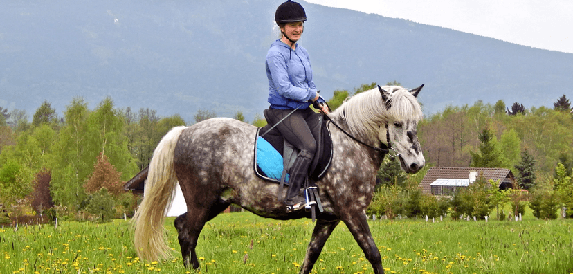 3 hodiny na ranči: péče o koně a poníky a vyjížďka na poníkovi do přírody 