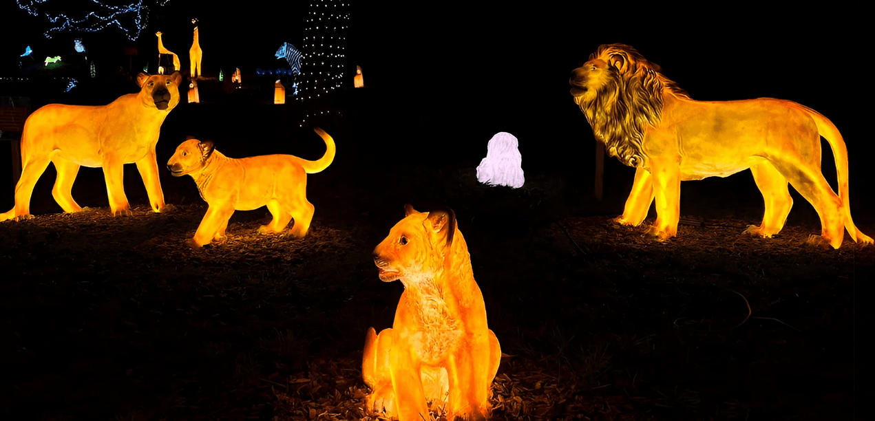 Vstupenky do Winter World: světelná pohádková zahrada, atrakce v ceně 