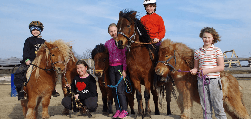 Farmářem na zkoušku: den na statku, jízda na koni a v traktoru, práce se zvířaty 