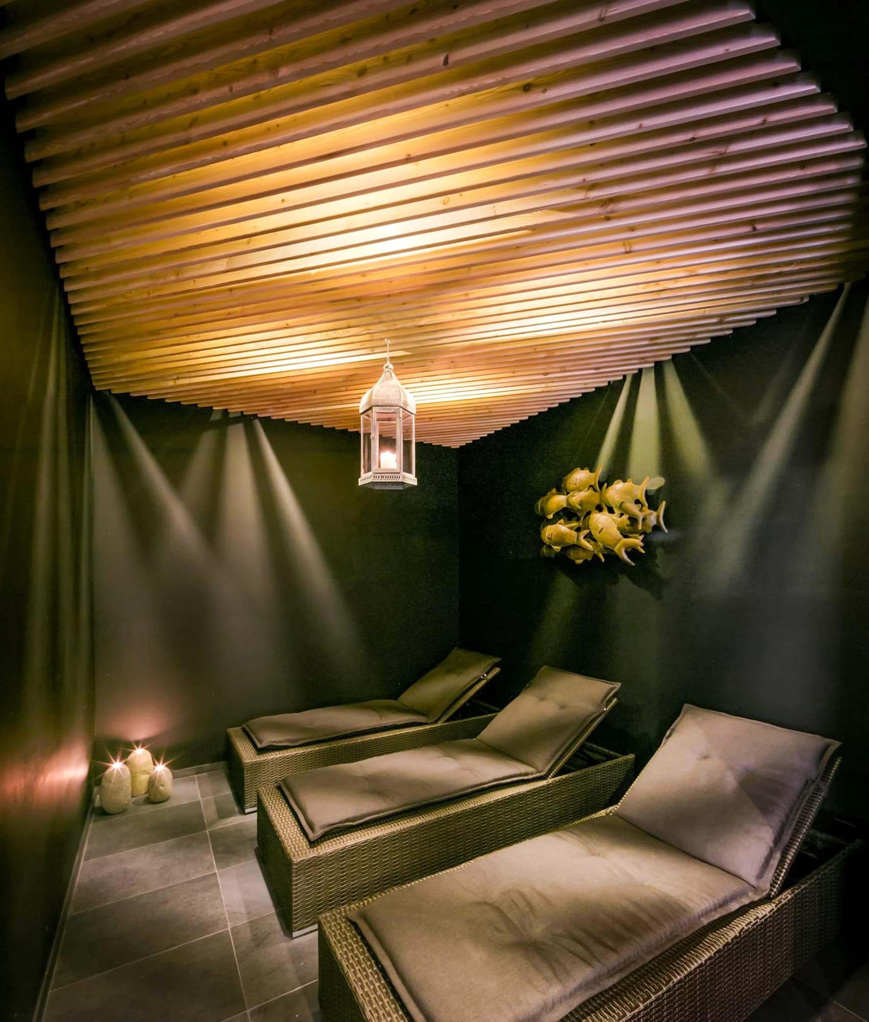 Vstup do privátního wellness i vč. 4chodového menu v restauraci či iglú