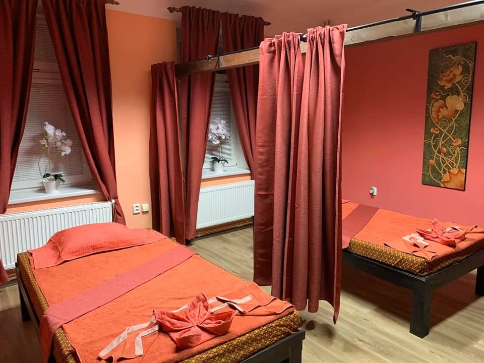 Masáže dle výběru v délce 60 minut: klasická, olejová i thajská a další
