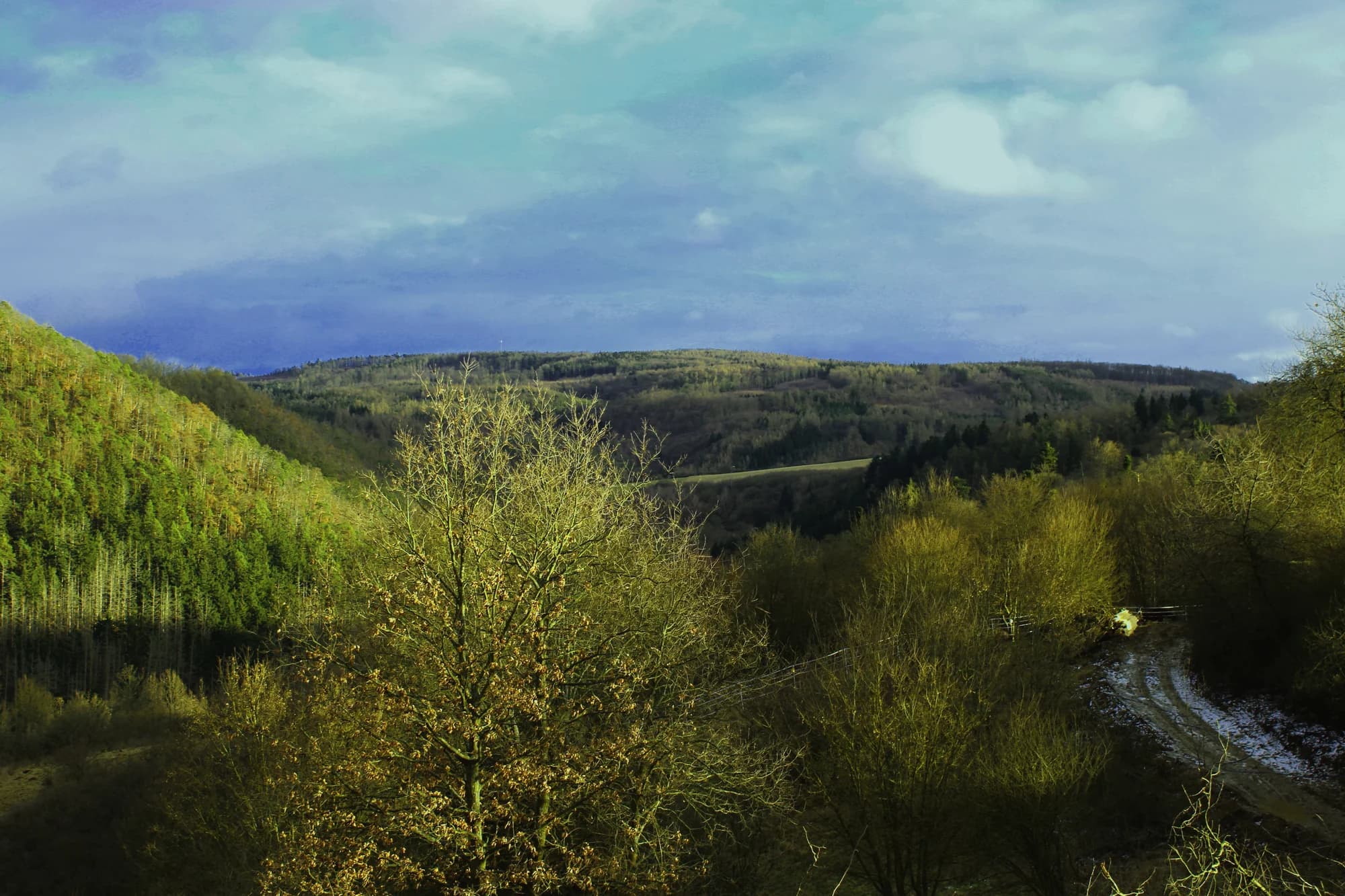 Putování na koních Brdskými lesy: pro začátečníky i pokročilé vč. vybavení