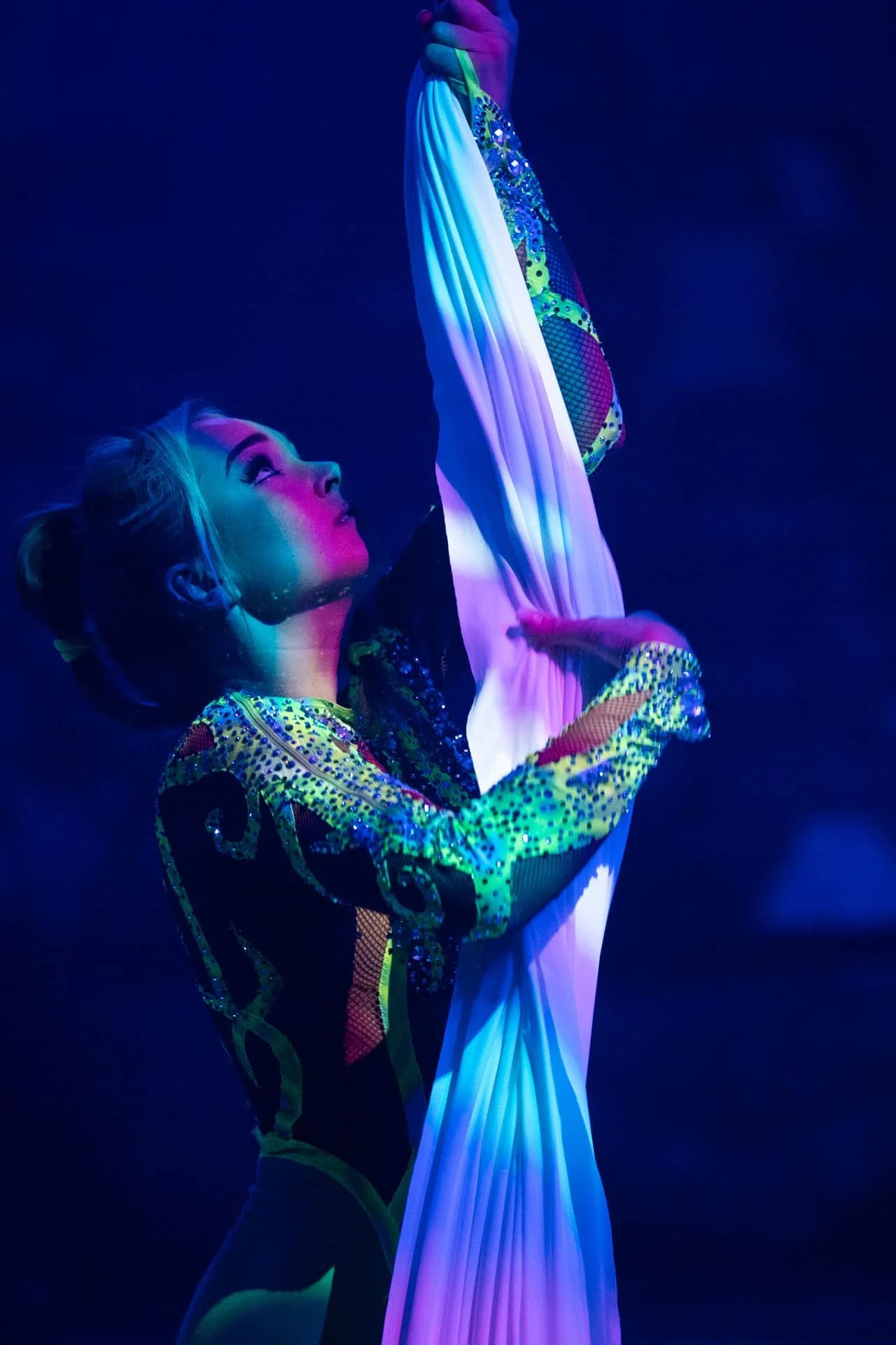 Vstup na představení Cirkusu Prince v Mladé Boleslavi pro dospělého nebo dítě