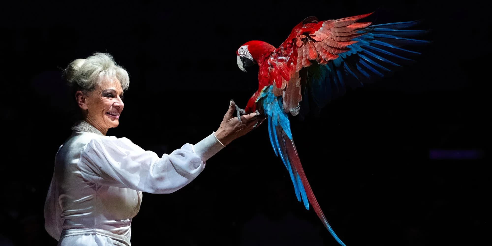 Vstup na představení Cirkusu Prince v Mladé Boleslavi pro dospělého nebo dítě