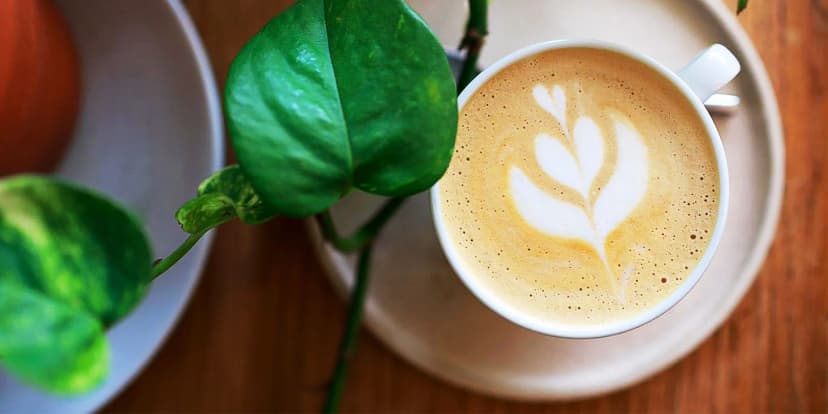 Baristické kurzy v kavárně Nota pro 1 nebo 2 osoby: naučte se latté art