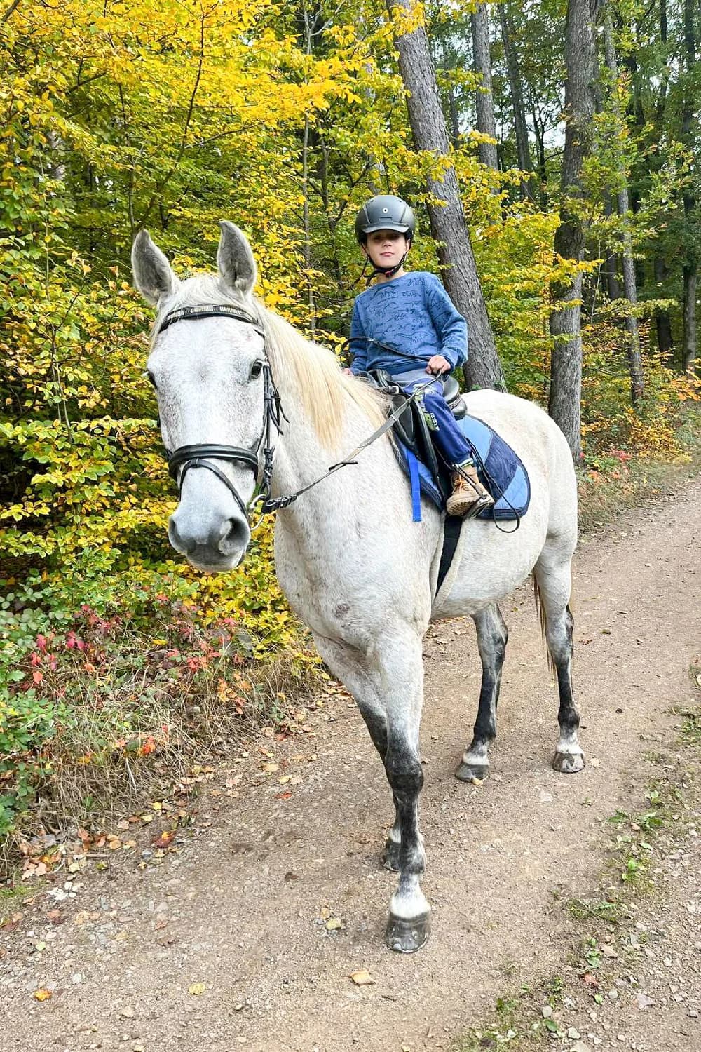 Hodinová vyjížďka na koni pro dospělé nebo na poníkovi pro děti