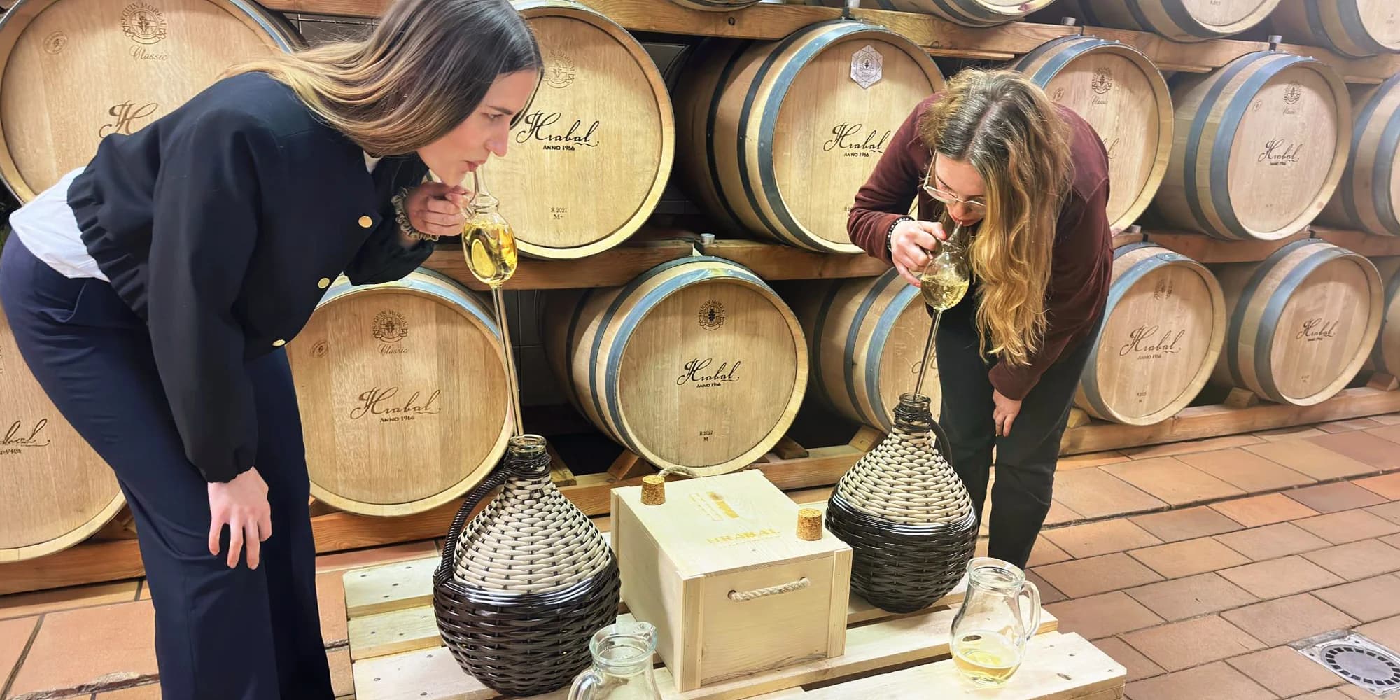 Degustace vín Staň se vinařem: ochutnávka 8 vzorků, bezedný džbán i tvorba vlastního vína