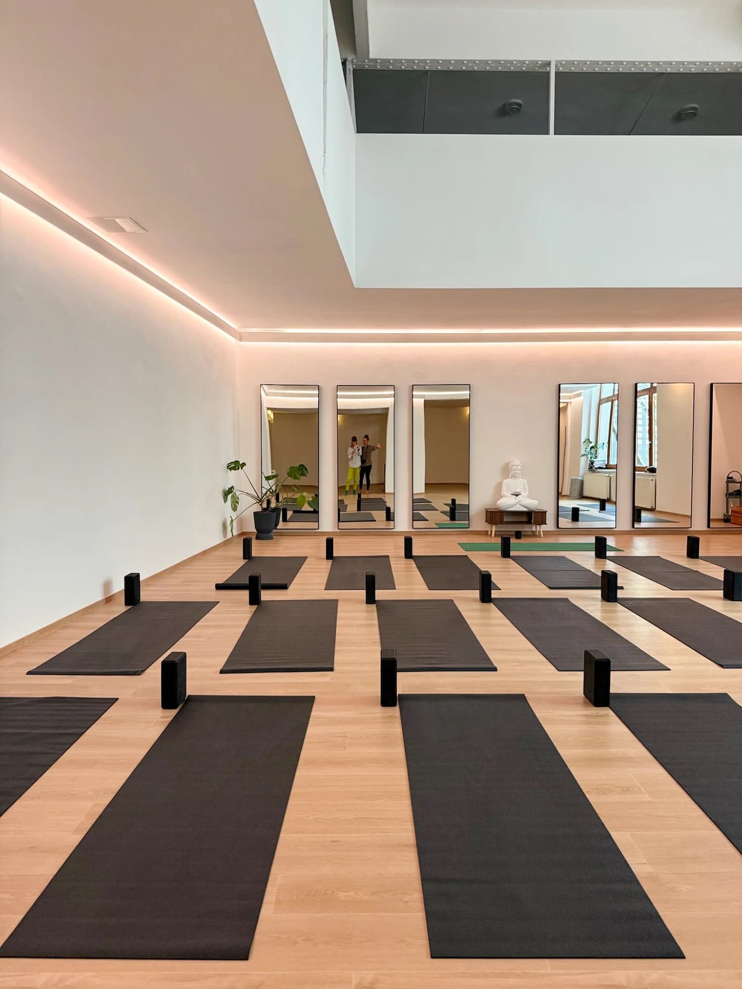 Lekce jógy na Vinohradech: jednorázový vstup nebo měsíční členství