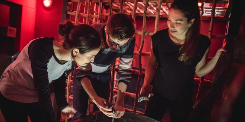 Oslava narozenin pro 8 až 18 dětí: únikovky, občerstvení i nápoje, doprovod zdarma