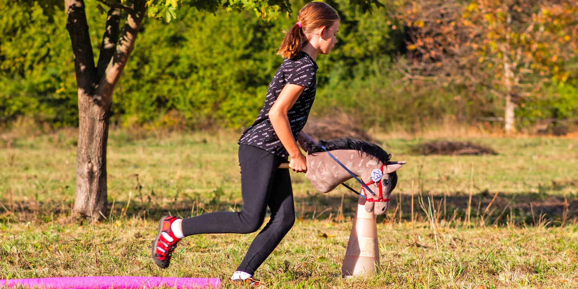Hobby horsing: individuální parkurový, drezurní i westernový trénink, začátečníci i pokročilí