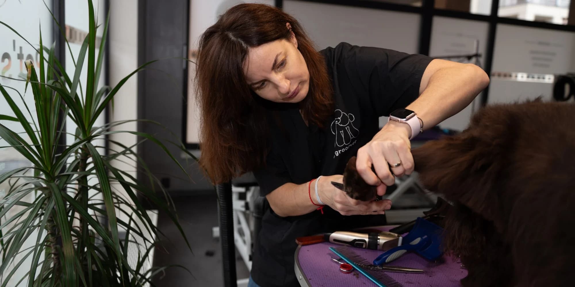 Kompletní péče o psy v dejvickém Pet´s Grooming & Spa: koupání, česání i střihání drápků a čištění uší