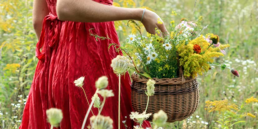 Magická svatojánská procházka s bylinkami, tvořením a degustací