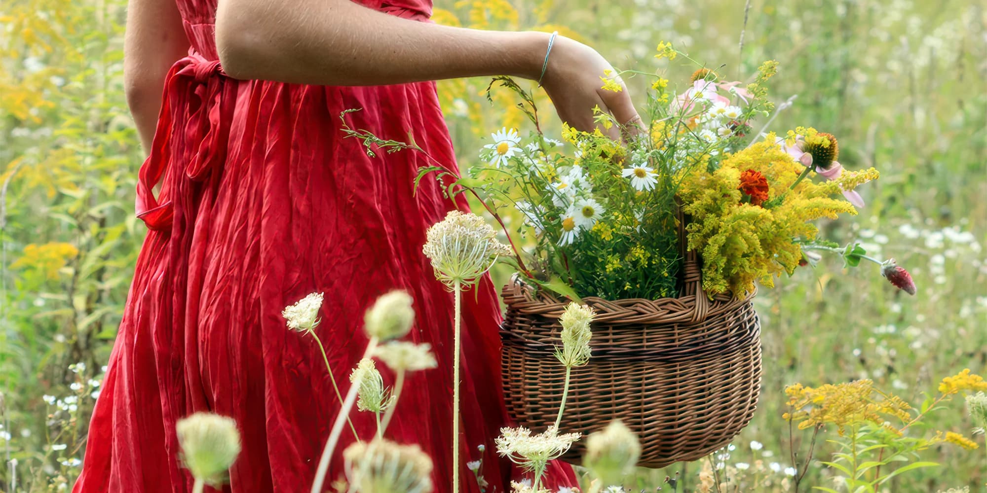 Magická svatojánská procházka s bylinkami, tvořením a degustací