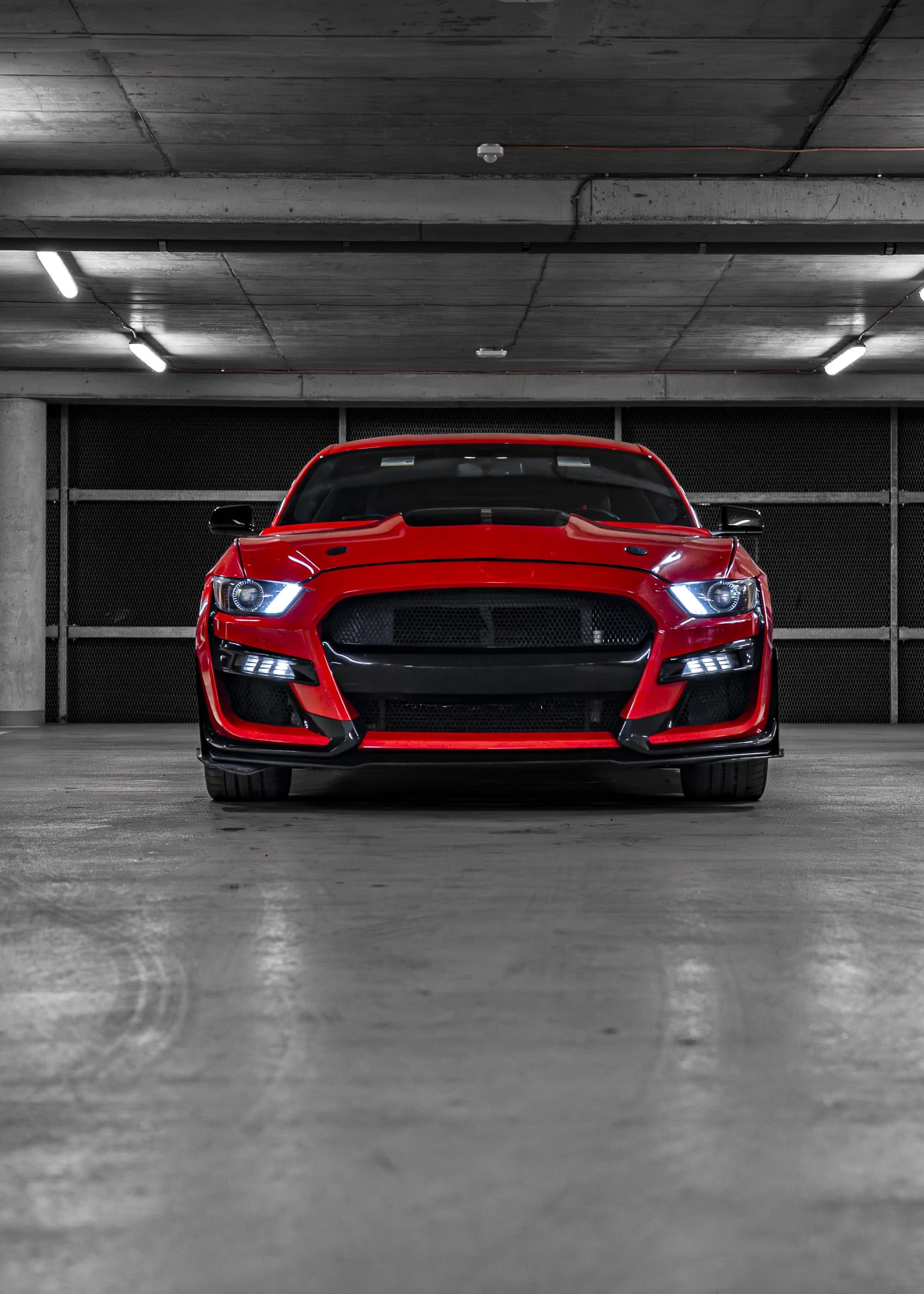 Brutální jízda v Mustangu GT Shelby paket: až 50 minut včetně dálniční známky