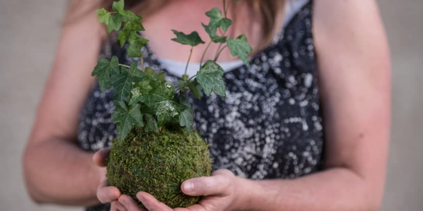 Rozvíjejte kreativního ducha: workshop výroby kokedam vč. všech pomůcek