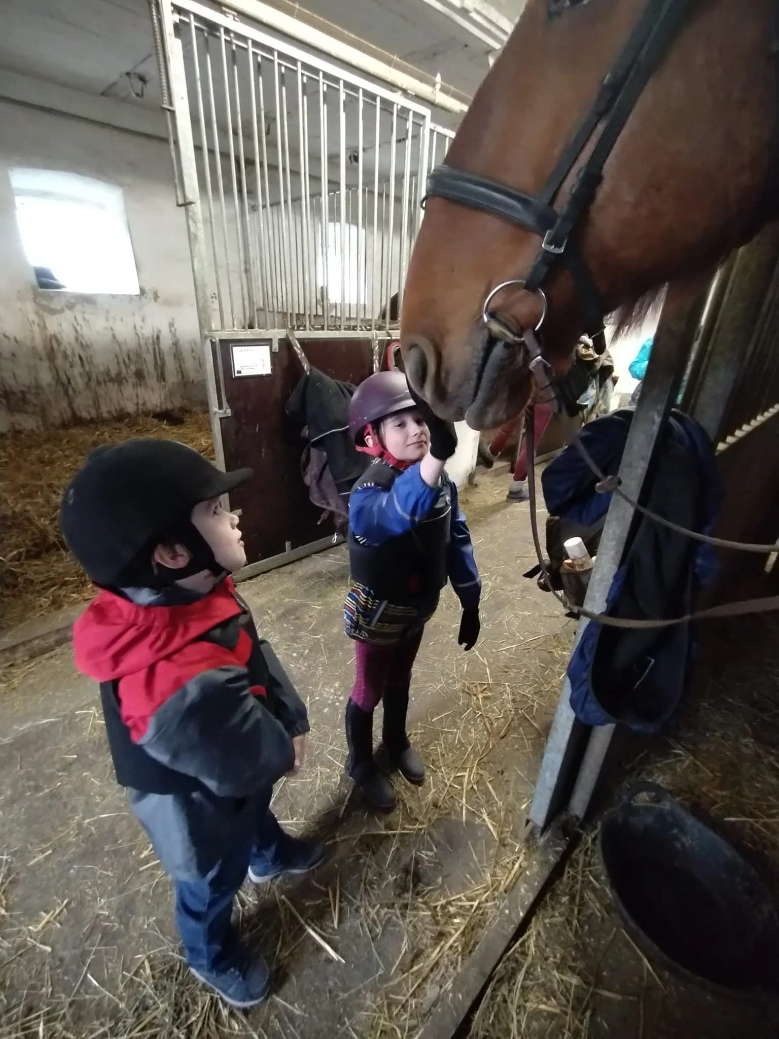 Rančerem na zkoušku: autentický zážitek na ranči s koňmi i prací ve stáji