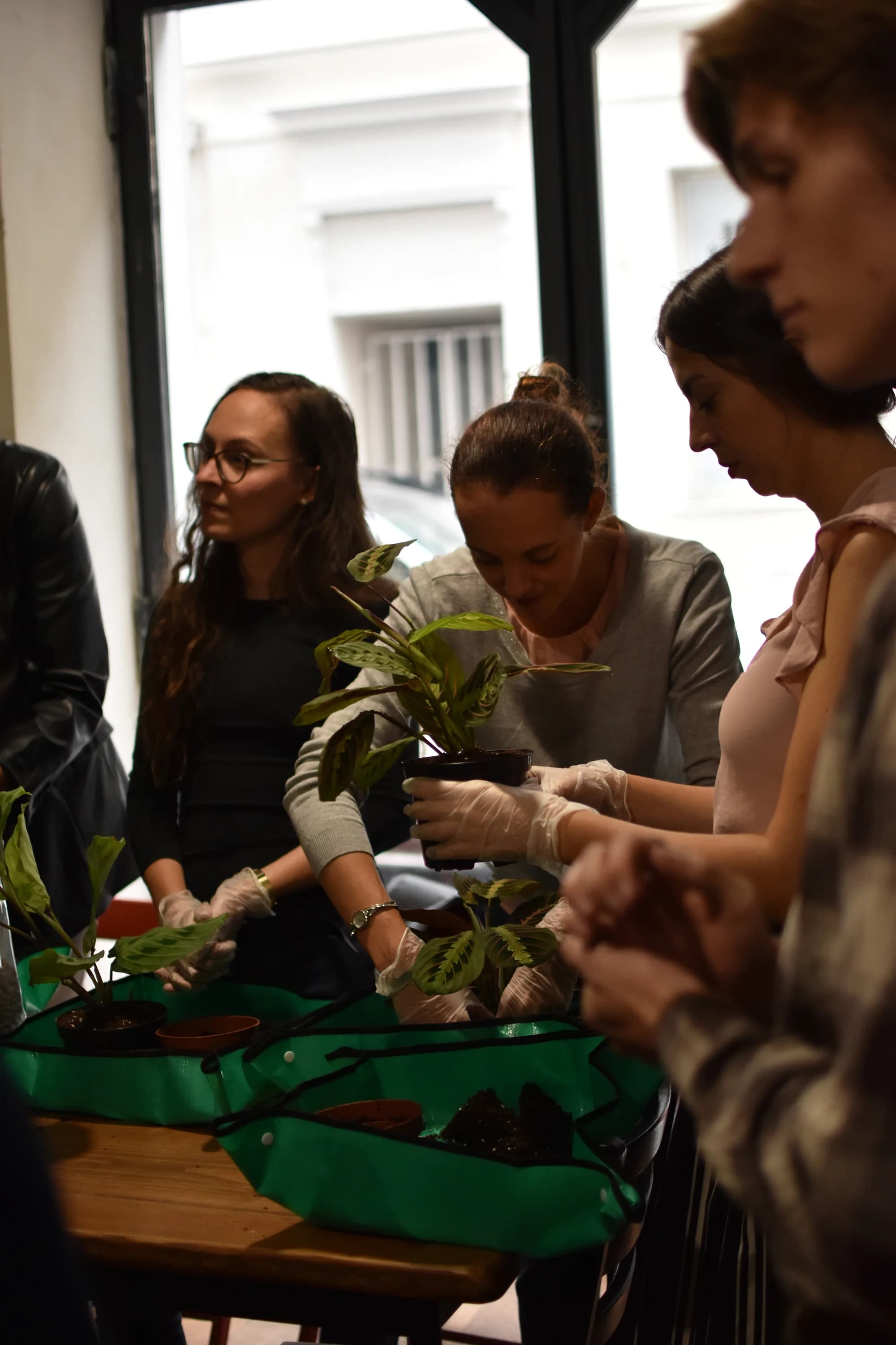 Dárek pro milovníky zeleně: floristický workshop pro začátečníky, 1 či 2 osoby