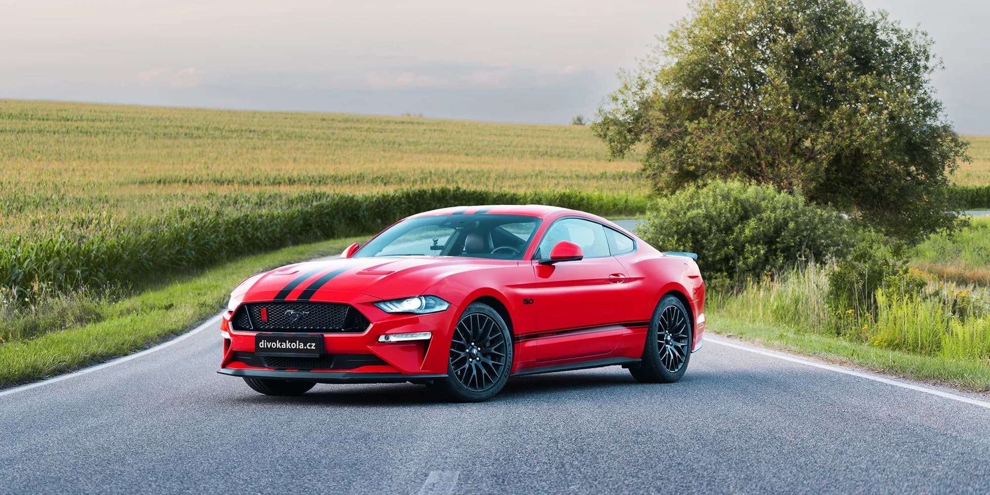 Legendární Mustang čeká: usedněte za volant a zažijte brutální sílu motoru 5.0 V8